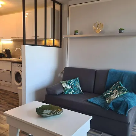 Appartement Moderne Avec Piscine Et Parking à 200m De La De La Grande Conque, Cap D'agde - Fr-1-249-413 Agde